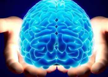 Neurolog ungkap kebiasaan sederhana yang membantu menjaga kesehatan otak dan meningkatkan fokus. (Foto: perdosni.org)