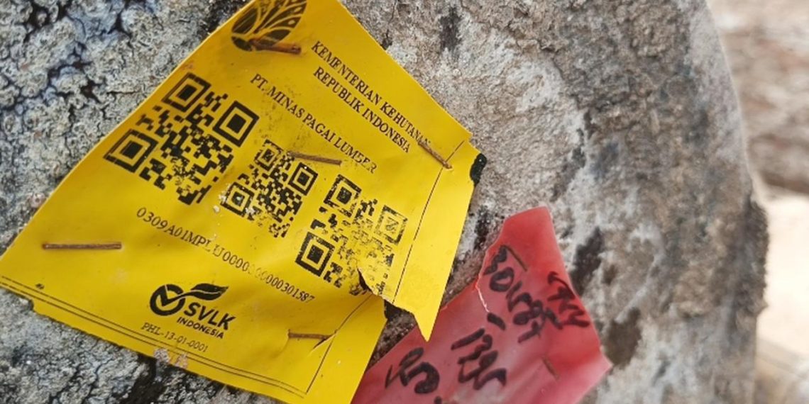 Viral gelondongan kayu berlabel Kemenhut terdampar di Lampung, pemerintah klaim bukan akibat banjir Sumatra. (Foto: Liputan6)