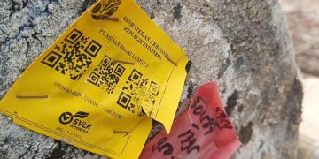 Viral gelondongan kayu berlabel Kemenhut terdampar di Lampung, pemerintah klaim bukan akibat banjir Sumatra. (Foto: Liputan6)