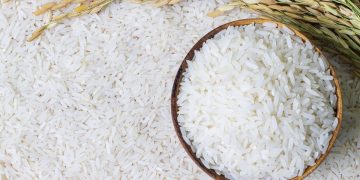 Pemerintah memastikan impor beras industri dihentikan mulai 2026 dan kebutuhan bahan baku dipenuhi dari produksi lokal. (Foto: SHUTTERSTOCK/SURAKIT SAWANGCHIT)