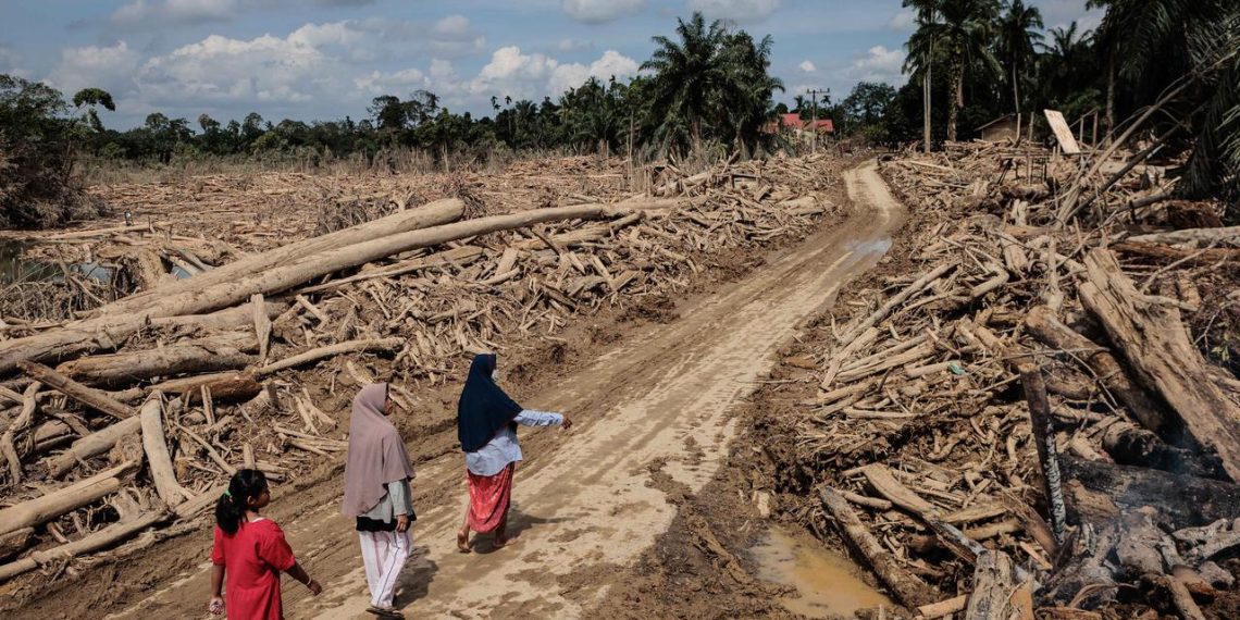 Bencana banjir bandang dan longsor melanda Aceh, Sumut, dan Sumbar. Data terbaru menunjukkan korban jiwa dan pengungsian masih tinggi. (Foto: Aditya Aji/AFP)