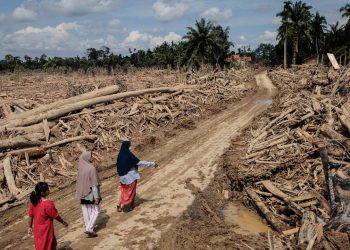 Bencana banjir bandang dan longsor melanda Aceh, Sumut, dan Sumbar. Data terbaru menunjukkan korban jiwa dan pengungsian masih tinggi. (Foto: Aditya Aji/AFP)