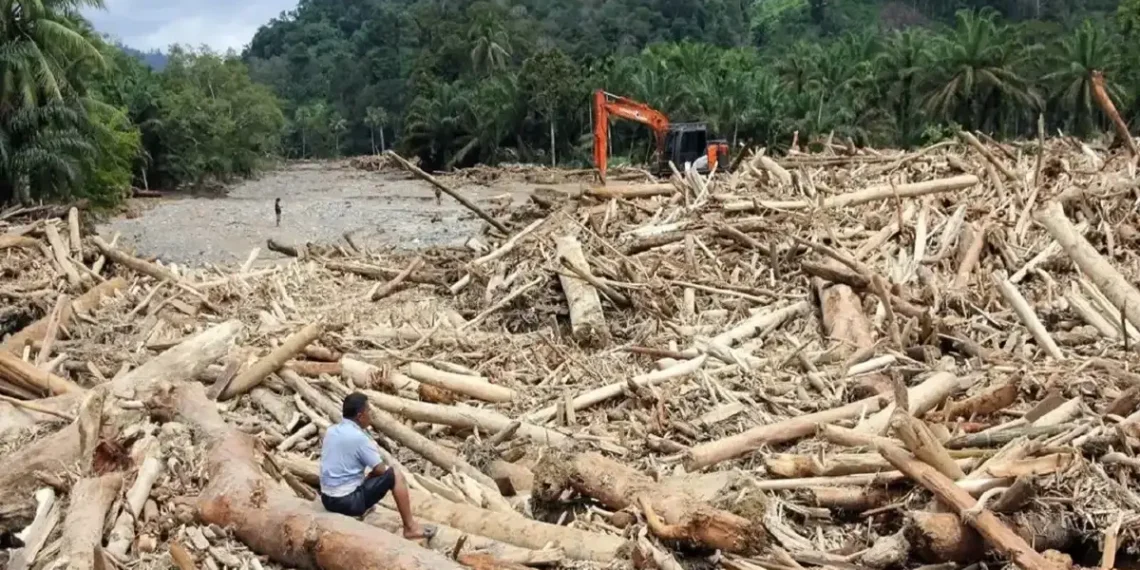 Pemerintah mencabut izin 28 perusahaan yang terbukti merusak hutan dan memicu banjir serta longsor di Aceh, Sumut, dan Sumbar. (Foto: ANTARA FOTO/Yudi Manar)