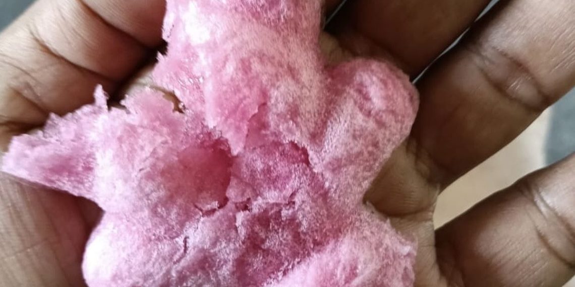 Kasus Es Gabus Sudrajat, Dari Tuduhan Spons hingga Sanksi Aparat Fakta lengkap kasus tukang es gabus Sudrajat yang dituding gunakan spons hingga TNI dan Polri menyampaikan permintaan maaf. (Foto: Humas Polres Jakarta Pusat)