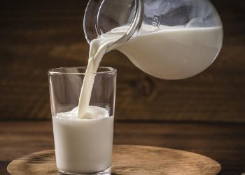 Minum susu di malam hari kerap dianggap menenangkan, tetapi bagaimana dampaknya terhadap gula darah? Simak penjelasan jenis, waktu, dan porsinya. (Foto: iStockphoto/carlosgaw)