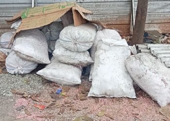 Temuan cacahan diduga uang Rp 100 ribu dan Rp 50 ribu di TPS liar Bekasi bikin geger. DLH dan BI lakukan penelusuran asal usulnya. (Foto: Dok. Polisi)