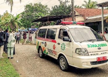 Masinis di Kroya meninggal dunia usai diserang tawon vespa saat membersihkan toren air di atap rumah. Berikut kronologi lengkap kejadiannya. (Foto:
