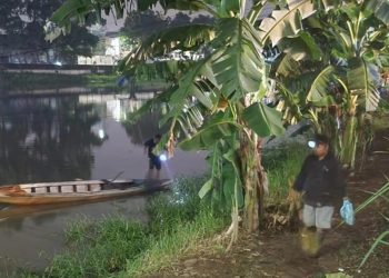 Ribuan ikan diduga keracunan di Sungai Cisadane. Warga Babakan Tangerang turun ke sungai menangkap ikan yang mengambang sejak Senin sore. (Foto: tangerangnews.co.id)