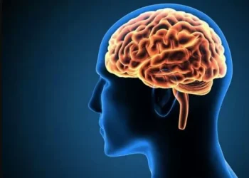 Kebiasaan sehari-hari seperti pola makan asal kenyang dan kurang gerak dapat mempercepat penyusutan otak. Simak penjelasan dokter spesialis.