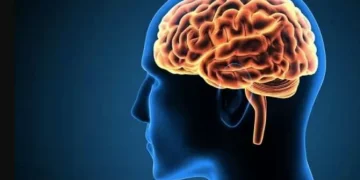 Kebiasaan sehari-hari seperti pola makan asal kenyang dan kurang gerak dapat mempercepat penyusutan otak. Simak penjelasan dokter spesialis.