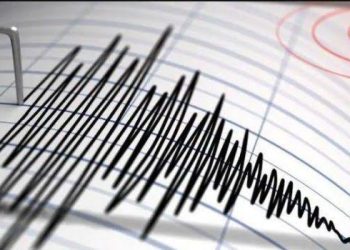 Gempa Pacitan magnitudo 4,2 membuat sejumlah KA di Daop 6 Yogyakarta berhenti luar biasa sementara untuk pemeriksaan jalur dan rangkaian. (Foto: SinPo.id/BNPB)