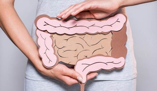 Kanker usus besar kini banyak menyerang usia muda. Simak daftar makanan tinggi serat dan protein tanpa lemak untuk membantu mencegah risikonya. (Foto: Alodokter)