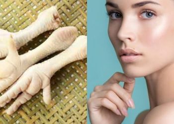 Ceker ayam kaya kolagen yang bantu kulit lembap, elastis, dan kurangi kerutan. Simak manfaat lengkapnya bagi kecantikan dan kesehatan. (Foto: theasianparent.com)