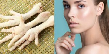 Ceker ayam kaya kolagen yang bantu kulit lembap, elastis, dan kurangi kerutan. Simak manfaat lengkapnya bagi kecantikan dan kesehatan. (Foto: theasianparent.com)