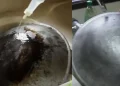 Wajan aluminium sering menghitam setelah dipakai? Simak cara membersihkan wajan aluminium agar kembali kinclong dan tetap awet digunakan.