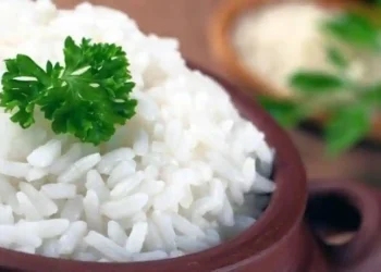 Ahli gizi IPB University tegaskan nasi putih bukan penyebab gemuk. Kuncinya ada pada porsi dan pola makan seimbang. (Foto: Tribunnews)
