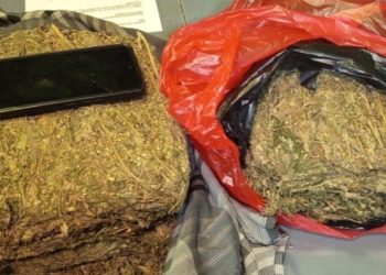 Pengungkapan kasus narkoba di Depok berujung penangkapan seorang pengedar. Polisi menemukan ganja dalam jumlah besar dari rumah tersangka.