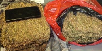 Pengungkapan kasus narkoba di Depok berujung penangkapan seorang pengedar. Polisi menemukan ganja dalam jumlah besar dari rumah tersangka.