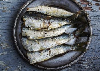 Terlalu sering makan ikan asin bisa memicu berbagai penyakit serius seperti hipertensi hingga gangguan ginjal. Simak penjelasan lengkapnya.