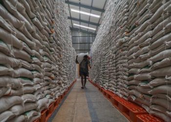 Perang Iran ganggu distribusi pupuk global dan berpotensi menaikkan harga pangan. Negara miskin diprediksi paling terdampak krisis ini.