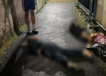 Polisi menyelidiki kasus PRT lompat dari lantai empat kos di Benhil Jakarta. Satu tewas dan satu terluka diduga karena tekanan kerja. (Foto: pewarta.co.id)