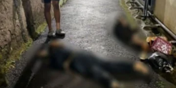 Polisi menyelidiki kasus PRT lompat dari lantai empat kos di Benhil Jakarta. Satu tewas dan satu terluka diduga karena tekanan kerja. (Foto: pewarta.co.id)