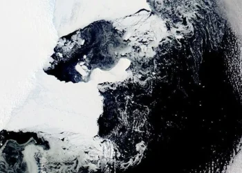 Antartika terlihat menghijau dari citra satelit akibat fitoplankton. Fenomena alami ini juga berkaitan dengan perubahan iklim global.