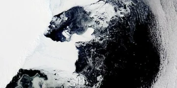 Antartika terlihat menghijau dari citra satelit akibat fitoplankton. Fenomena alami ini juga berkaitan dengan perubahan iklim global.