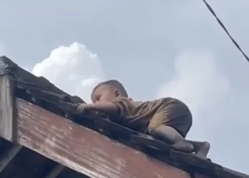 Aksi balita dua tahun merayap di genteng rumah di Lombok Tengah viral. Warga panik dan berusaha menyelamatkan bocah tersebut. (Foto: lombokpost)