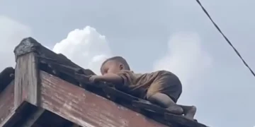 Aksi balita dua tahun merayap di genteng rumah di Lombok Tengah viral. Warga panik dan berusaha menyelamatkan bocah tersebut. (Foto: lombokpost)