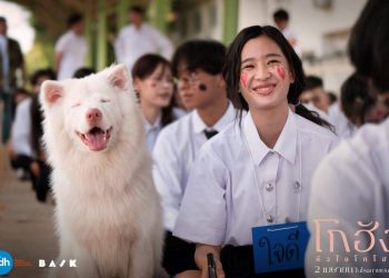 Film Thailand Gohan tayang mulai 14 Mei 2026 dengan cerita haru tentang anjing liar setia dan perjalanan hidup para pemiliknya. (Foto: GDH559/GOHAN)