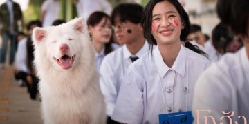 Film Thailand Gohan tayang mulai 14 Mei 2026 dengan cerita haru tentang anjing liar setia dan perjalanan hidup para pemiliknya. (Foto: GDH559/GOHAN)