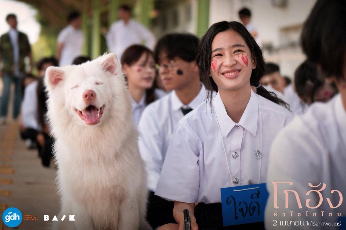 Sinopsis Film Thailand Gohan, Kisah Haru Anjing Liar yang Setia pada Pemiliknya