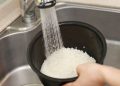 Ketahui berapa kali beras sebaiknya dicuci sebelum dimasak agar nasi tetap bersih tanpa mengurangi kandungan gizinya. (Foto: Shutterstock)