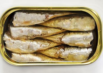 Sarden kalengan tidak selalu termasuk makanan ultra-proses atau UPF. Ahli menjelaskan kandungan gizi lebih penting dibanding kemasannya. (Foto: Shutterstock)