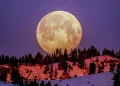Fenomena langit Mei hadirkan hujan meteor Eta Aquarids hingga Blue Moon. Simak jadwal dan cara terbaik menyaksikannya. (Foto: Frank Cone/Pexels)