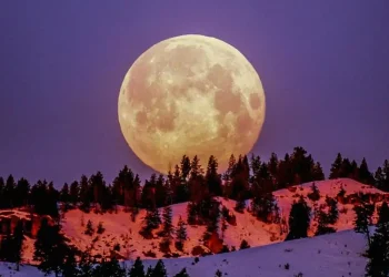 Fenomena langit Mei hadirkan hujan meteor Eta Aquarids hingga Blue Moon. Simak jadwal dan cara terbaik menyaksikannya. (Foto: Frank Cone/Pexels)