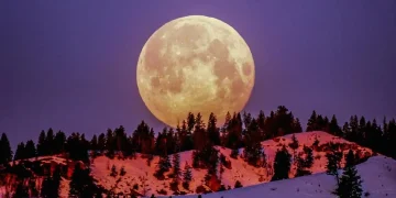 Fenomena langit Mei hadirkan hujan meteor Eta Aquarids hingga Blue Moon. Simak jadwal dan cara terbaik menyaksikannya. (Foto: Frank Cone/Pexels)