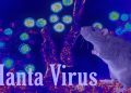 Hantavirus jadi sorotan setelah menewaskan penumpang kapal pesiar. Simak penjelasan lengkap gejala, penularan, dan pencegahannya di sini.