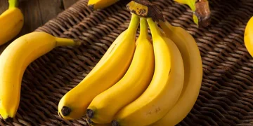 Pisang disebut mampu membantu mencegah kram otot karena kandungan kalium dan magnesium. Namun ahli menilai efeknya tidak instan.