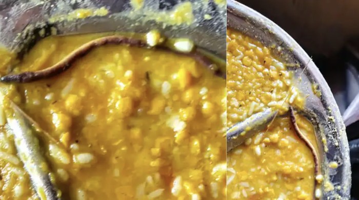 Geger Temuan Anak Ular di Makanan Sekolah, Ratusan Siswa India Jatuh Sakit