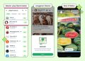 Iklan kini muncul di status WhatsApp. Simak penjelasan resmi Meta soal fitur ini dan bagaimana data pengguna digunakan secara aman. (Foto: Whatsapp)