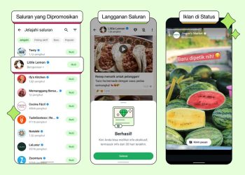 Iklan kini muncul di status WhatsApp. Simak penjelasan resmi Meta soal fitur ini dan bagaimana data pengguna digunakan secara aman. (Foto: Whatsapp)
