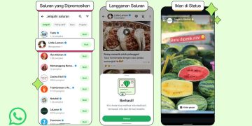 Iklan kini muncul di status WhatsApp. Simak penjelasan resmi Meta soal fitur ini dan bagaimana data pengguna digunakan secara aman. (Foto: Whatsapp)