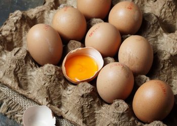 Telur omega-3 memiliki kandungan asam lemak lebih tinggi dibanding telur biasa. Simak manfaat dan perbedaan nutrisinya untuk kesehatan.