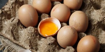 Telur omega-3 memiliki kandungan asam lemak lebih tinggi dibanding telur biasa. Simak manfaat dan perbedaan nutrisinya untuk kesehatan.