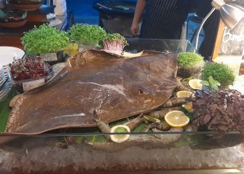 Apakah ikan pari halal dikonsumsi Muslim? Simak penjelasan ulama, dalil Al Quran, dan pandangan berbagai mazhab dalam Islam.