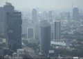 IDAI mengingatkan polusi udara pada anak tidak hanya merusak paru-paru, tetapi juga dapat meningkatkan risiko kanker dan berbagai penyakit kronis.