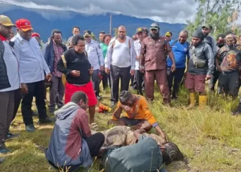Komnas Perempuan mendesak investigasi independen atas tewasnya ibu hamil di Intan Jaya, Papua Tengah, serta meminta pemulihan bagi keluarga korban.