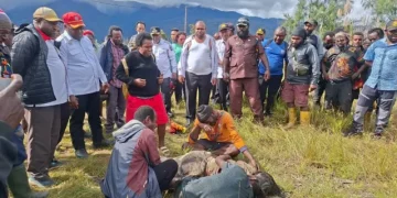 Komnas Perempuan mendesak investigasi independen atas tewasnya ibu hamil di Intan Jaya, Papua Tengah, serta meminta pemulihan bagi keluarga korban.
